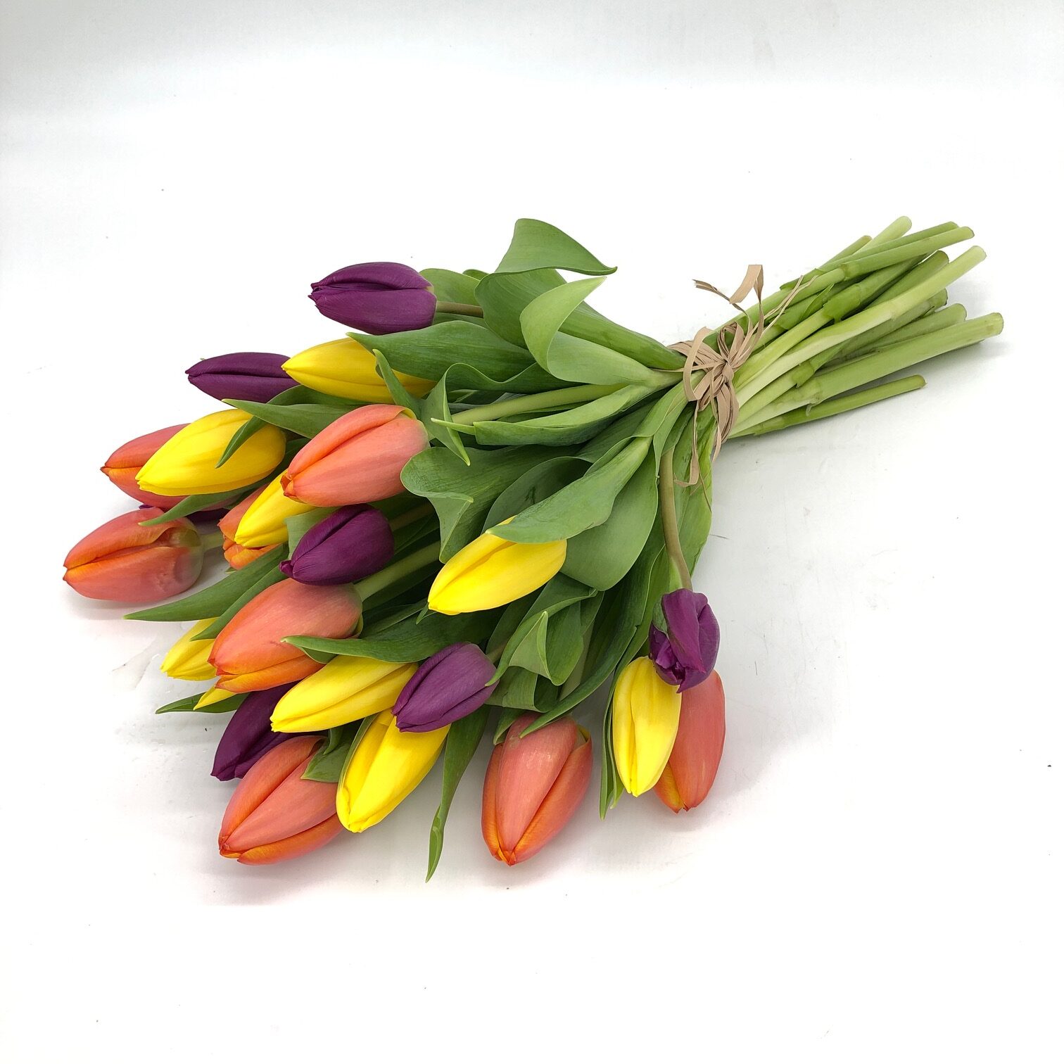 Tulipandia 30 tulipanes de color - Flores a Domicilio Madrid